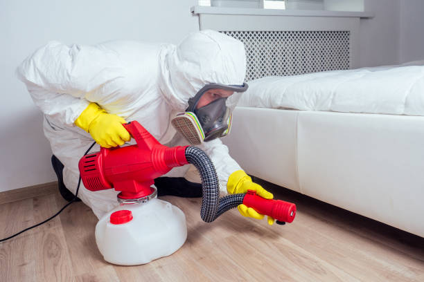 Best Pest Control Near Me  in Potomac, MD