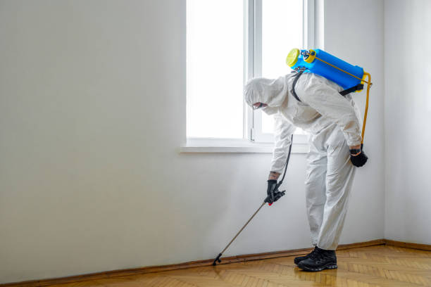 Best Rat Extermination Near Me  in Potomac, MD