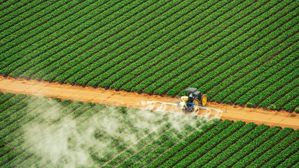 Best Pest Control for Businesses  in Potomac, MD