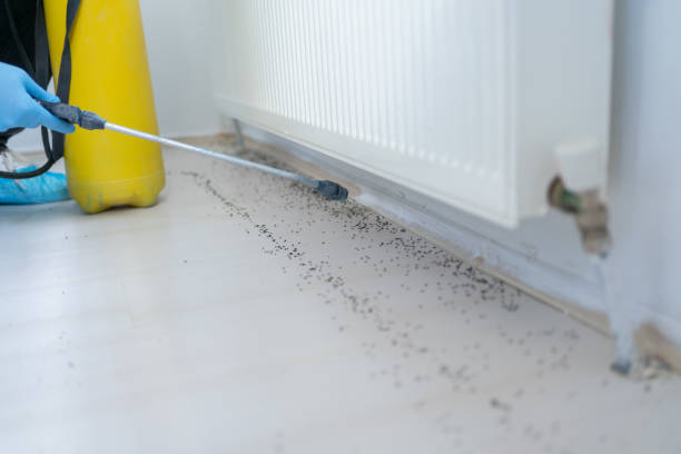 Potomac, MD Pest Control Company